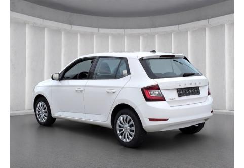 Skoda Fabia #21