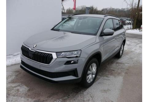 Skoda Karoq #1
