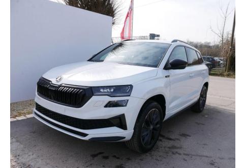 Skoda Karoq #1