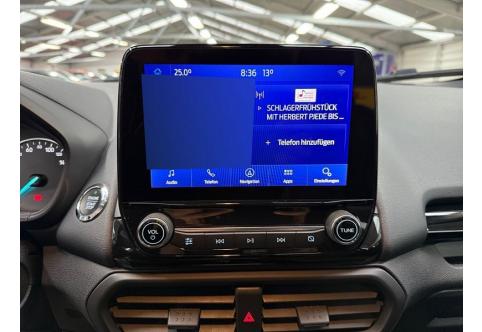 Ford EcoSport #12