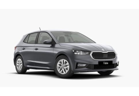 Skoda Fabia #1