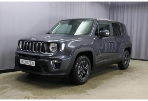 Jeep Renegade #1