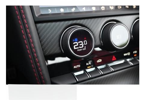 Jaguar F-Type #25