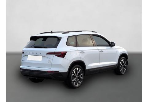Skoda Karoq #4