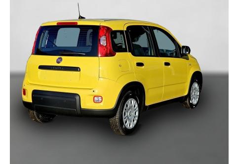 Fiat Pandina #2