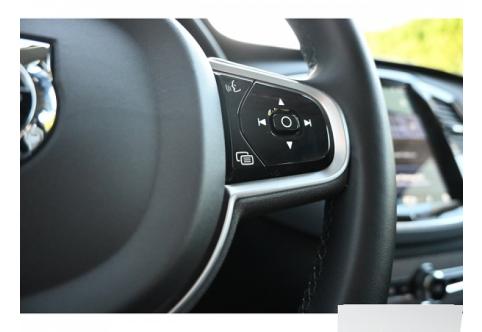 Volvo XC90 #20