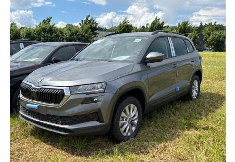 Skoda Karoq #2