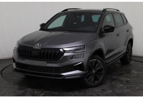 Skoda Karoq #1