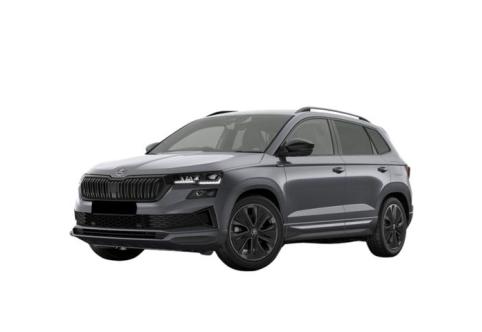 Skoda Karoq #1