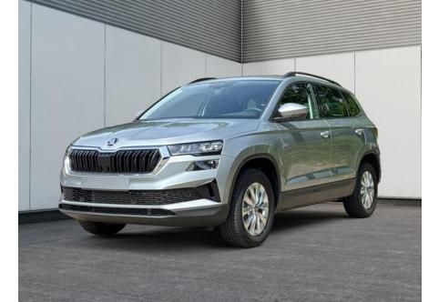 Skoda Karoq #2
