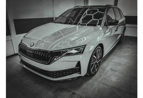 Skoda Octavia #1