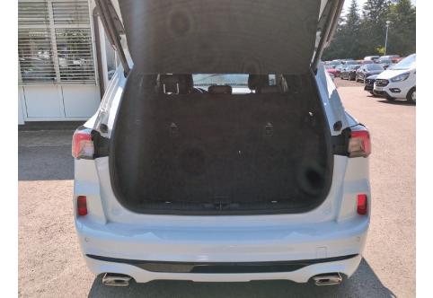Ford Kuga #20