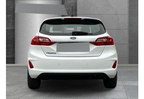 Ford Fiesta #3