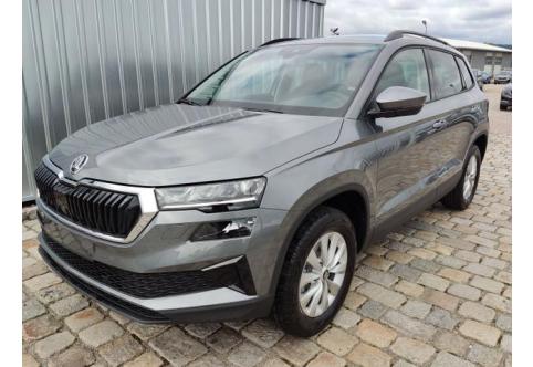 Skoda Karoq #1