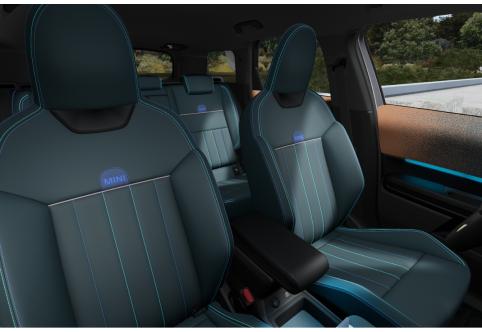 Mini Countryman #8