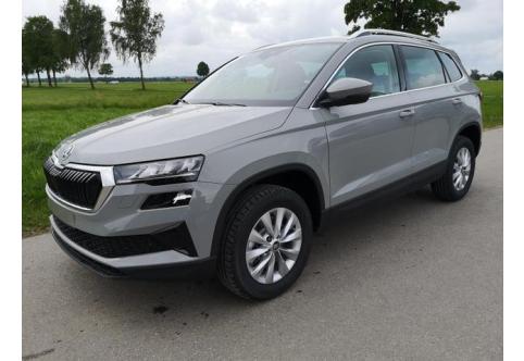 Skoda Karoq #1