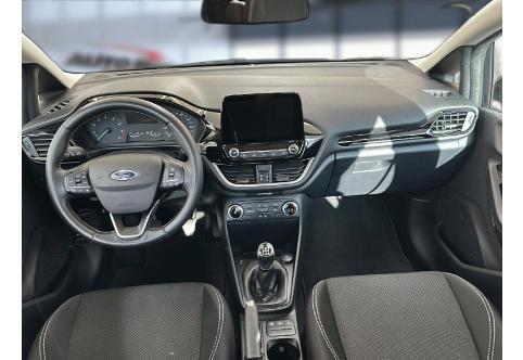 Ford Fiesta #18