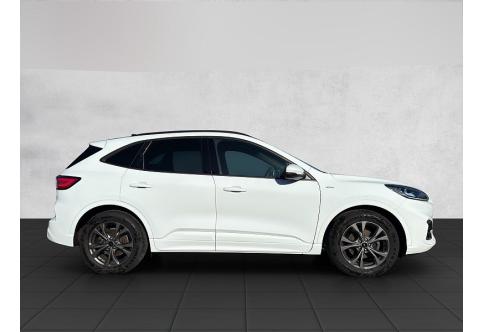 Ford Kuga #12