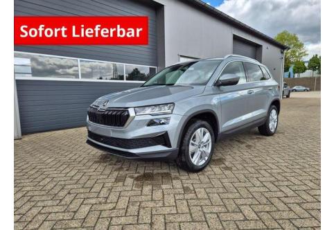 Skoda Karoq #2
