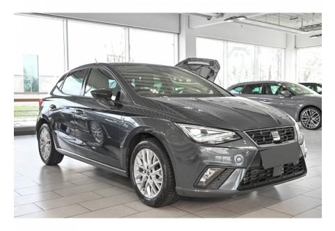 Seat Ibiza #2