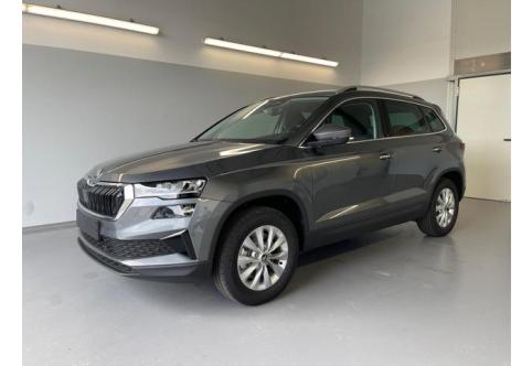Skoda Karoq #1