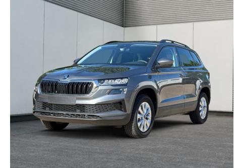 Skoda Karoq #1