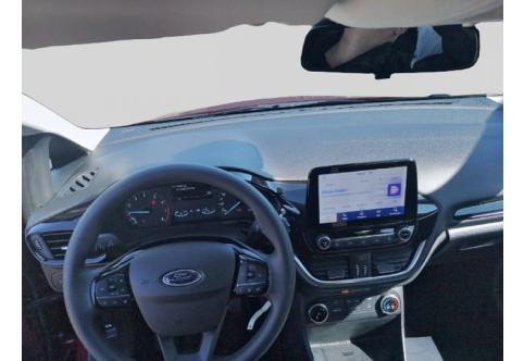 Ford Fiesta #15