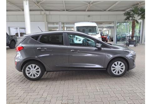 Ford Fiesta #22