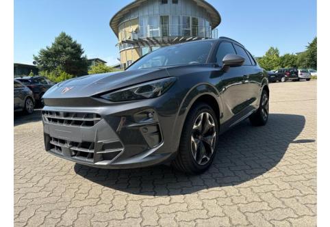 Cupra Terramar #2