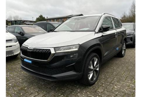 Skoda Karoq #2