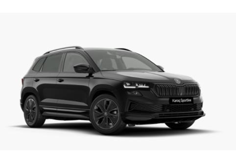 Skoda Karoq #1