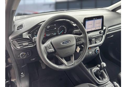 Ford Fiesta #8