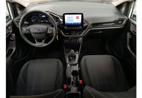 Ford Fiesta #10