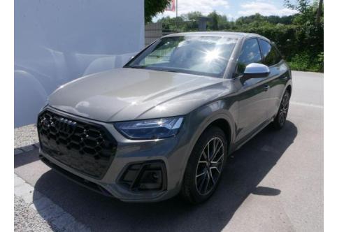 Audi SQ5 #1