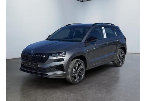 Skoda Karoq #2