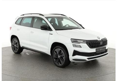 Skoda Karoq #1