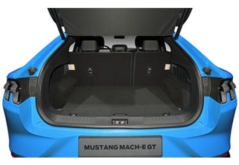 Ford Mustang Mach-E #6