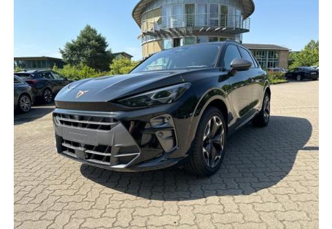 Cupra Terramar #2