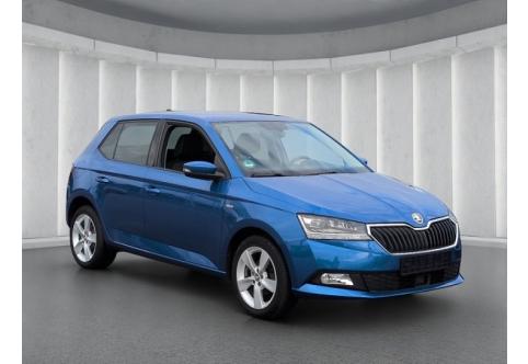 Skoda Fabia #21