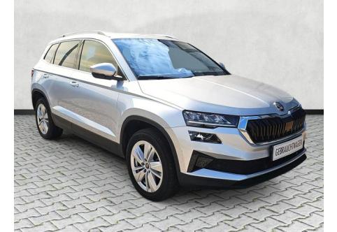 Skoda Karoq #1