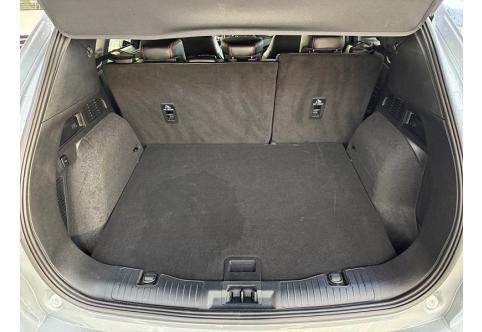 Ford Kuga #25