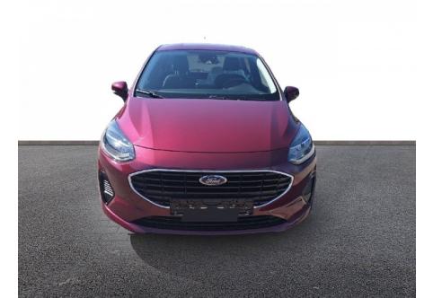 Ford Fiesta #10