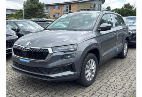 Skoda Karoq #1