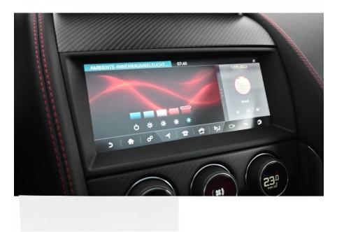 Jaguar F-Type #21
