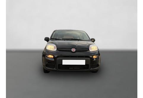 Fiat Panda #6