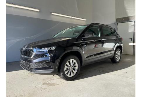 Skoda Karoq #1
