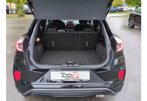Ford Puma #20