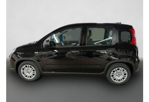 Fiat Panda #2