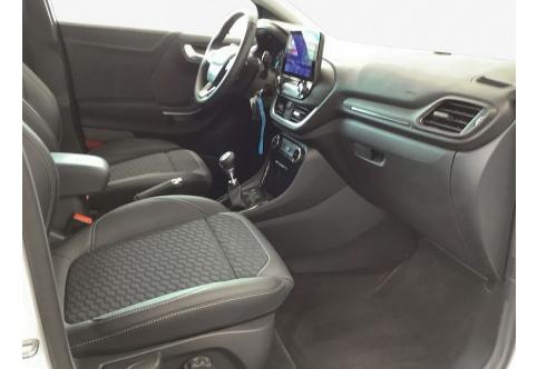 Ford Puma #10