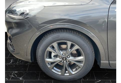 Ford Kuga #3
